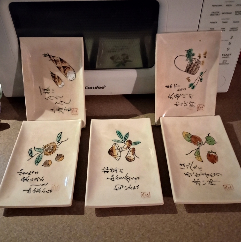 Set of 5 Rectangular Vintage Japanese Sushi Plates with Artistic Designs